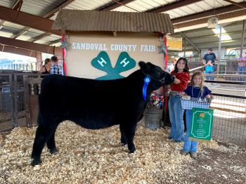 2021 Grand Champion Market Steer